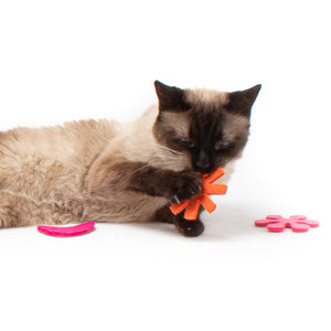 Atomic Flyers :: Felt Cat Toys (Set of 3 Toys)