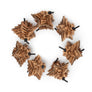 Magic Star Cardboard Cat Toys (Set of 2 Toys)