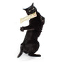 Scent Enrichment Cat Toy Set (set of 4 toys)