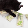 Scent Enrichment Cat Toy Set (set of 4 toys)
