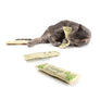 Scent Enrichment Cat Toy Set (set of 4 toys)