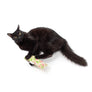 Scent Enrichment Cat Toy Set (set of 4 toys)