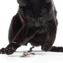 Catnip Ribbon Ravioli (set of 3 toys)