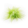 Mini Catnip "Tribbles"