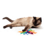 Spider Ring Cat Toy