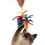 Spider Ring Cat Toy
