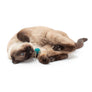 Spider Spheres Wool Felt Cat Toys (Set of 2 toys)