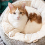 Donut Cuddler Cat Bed from P.L.A.Y.