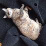 The Ripple Rug Cat Activity Mat - Made in the USA