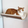 Curve Cat Perch by Akemi Tanaka