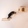 3-piece Wooden Catification Set from Armarkat :: Wall-mounted Cat Shelf, Hideaway & Sisal Climbing/Scratching Pole