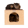 3-piece Wooden Catification Set from Armarkat :: Wall-mounted Cat Shelf, Hideaway & Sisal Climbing/Scratching Pole