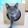 Hide and Sneak Paper Bag Cat Tunnel from Dezi & Roo