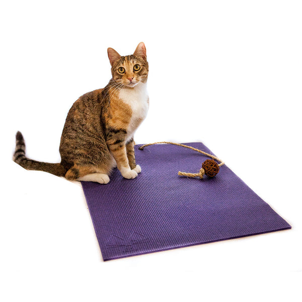 Yoga Mat Cute Cartoon Cat Gym For Yoga Mats, Indoor And Outdoor