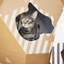 MIA Cat House with MATA Scratcher from MyKotty