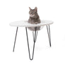 Hauspanther NestEgg Raised Cat Bed & Side Table by Primetime Petz