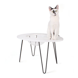 Hauspanther NestEgg Raised Cat Bed & Side Table by Primetime Petz