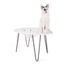 Hauspanther NestEgg Raised Cat Bed & Side Table by Primetime Petz
