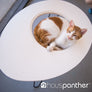 Hauspanther NestEgg Raised Cat Bed & Side Table by Primetime Petz