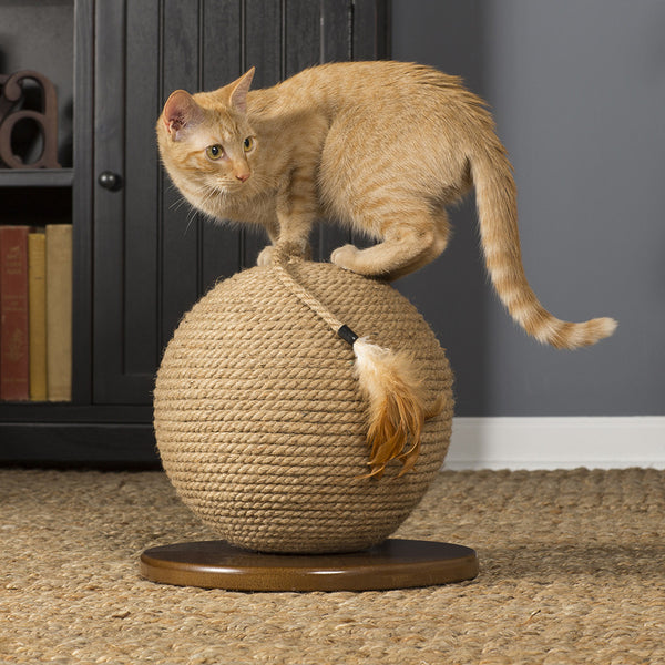 Sphere deals cat scratcher