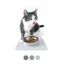 Ono Good Bowl (Single) :: Feeding Bowl & Silicone Mat