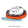 Cattoo Design Temporary Tattoos for Cat Lovers