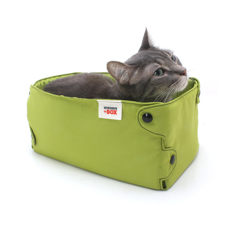 Whisker + Box Cat Bed