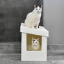 Kitangle Seamless Covered Litter Box :: Slope Style XL