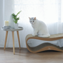 LUI Cat Scratcher & Lounge from MyKotty