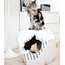 MIA Cat House with MATA Scratcher from MyKotty