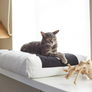 PADI Pillow Cat Bed from MyKotty