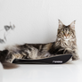 TOBI Cat Scratcher & Lounge from MyKotty