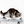 TOBI Cat Scratcher & Lounge from MyKotty