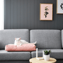 PADI Pillow Cat Bed from MyKotty