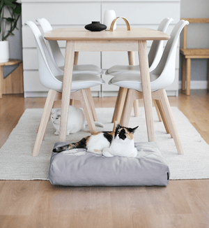 PADI Pillow Cat Bed from MyKotty