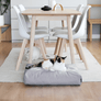 PADI Pillow Cat Bed from MyKotty