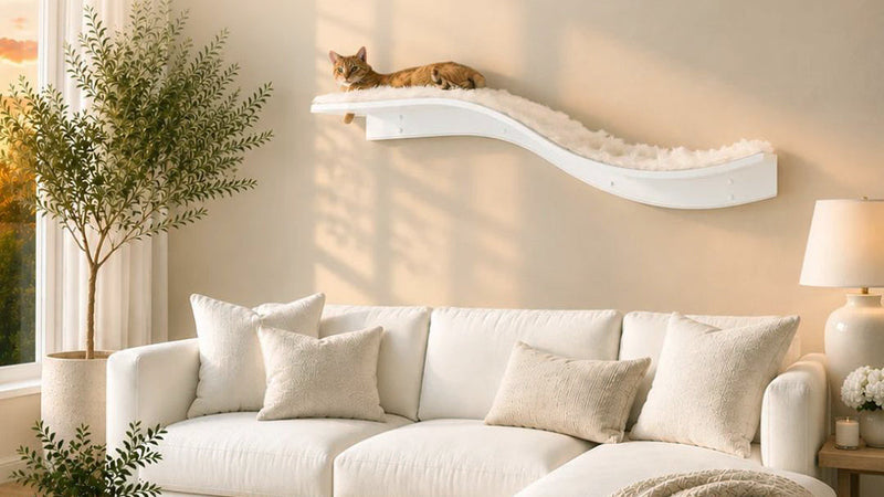 The Refined Feline