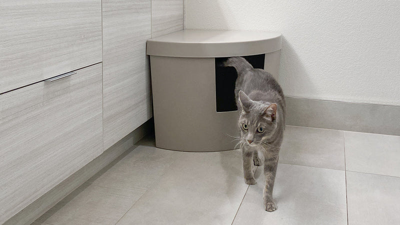 LITTER :: Enclosed Cat Litter Boxes