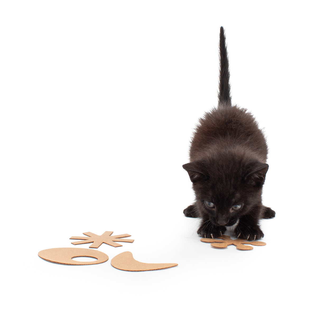 Eco Flyers - Eco-friendly Cardboard Cat Toys (Package of 12 Toys)