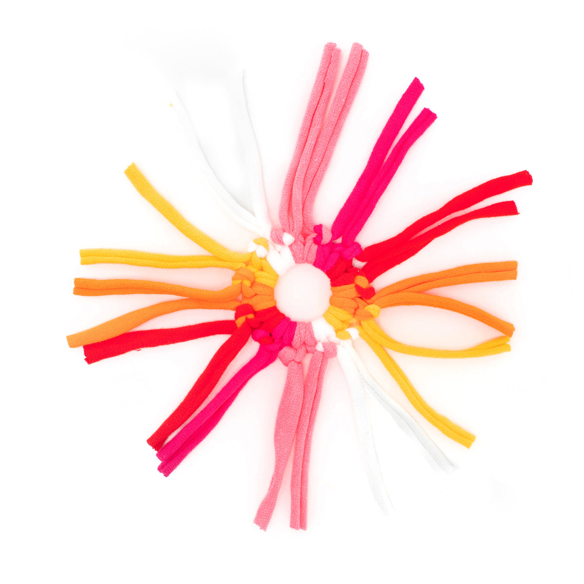 Spider Ring Cat Toy