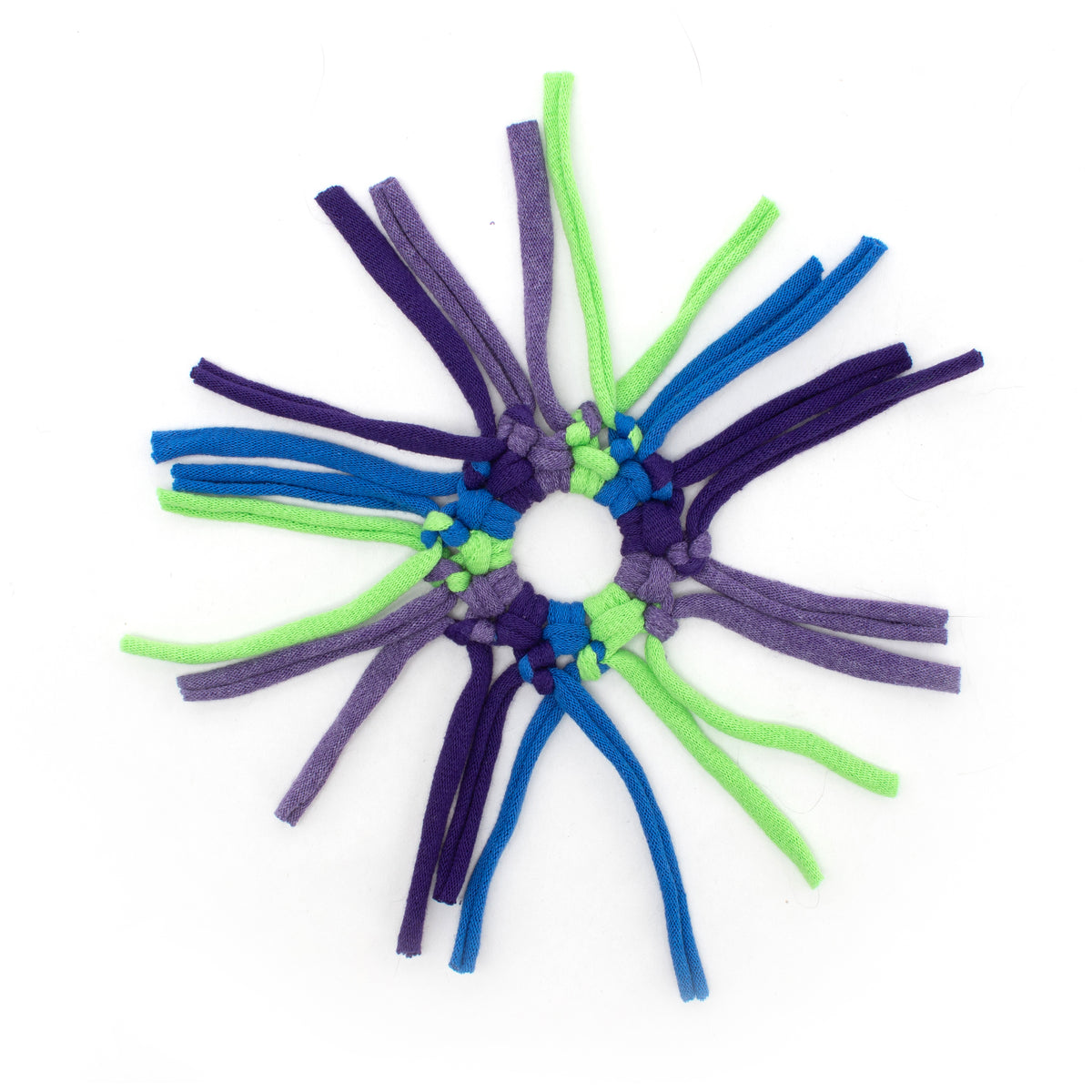 Spider Ring Cat Toy