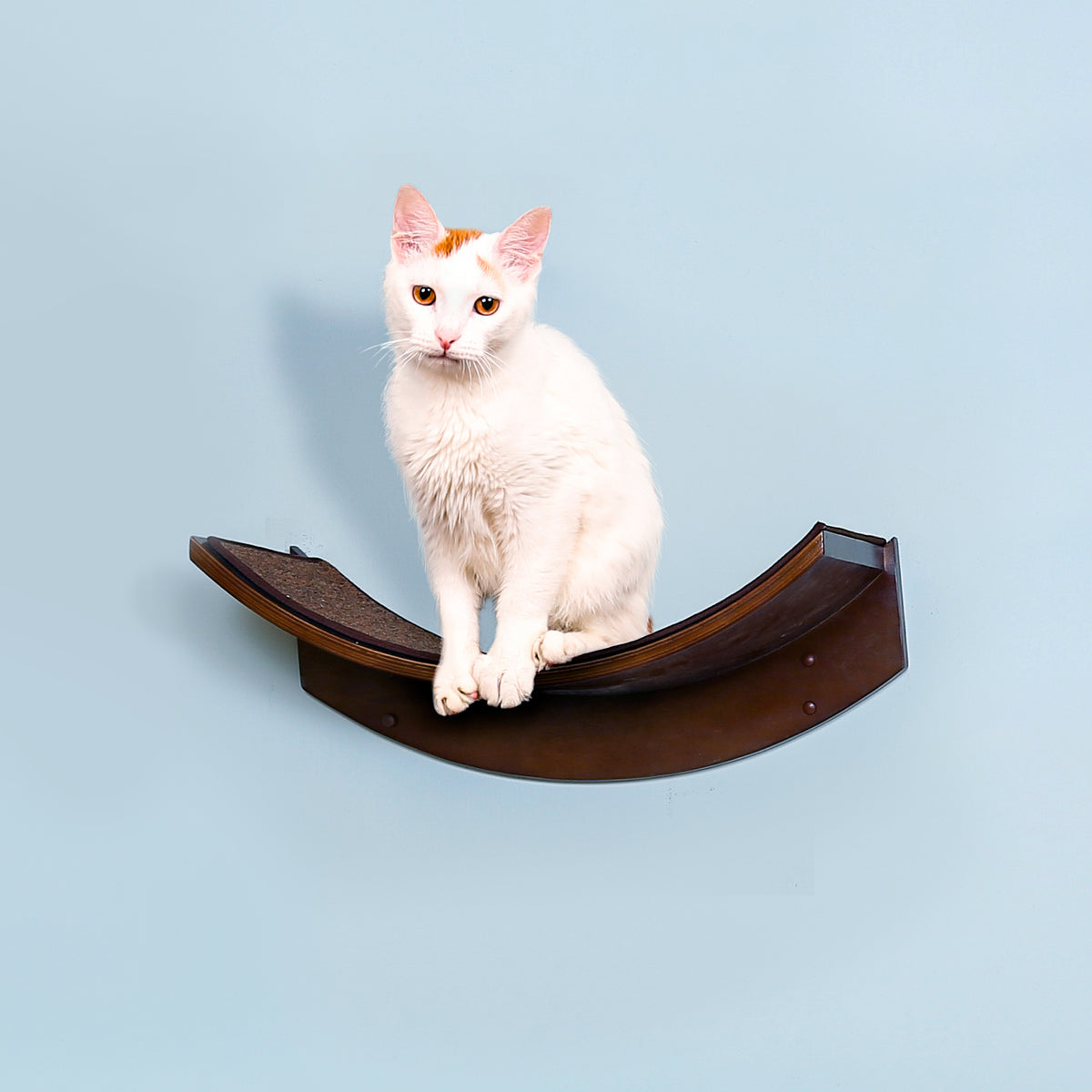 Lotus Leaf Cat Shelf from The Refined Feline