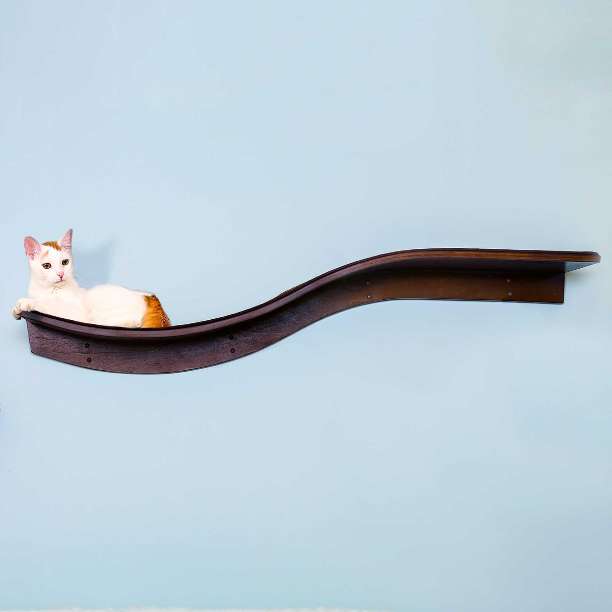 Lotus Branch Cat Shelf from The Refined Feline