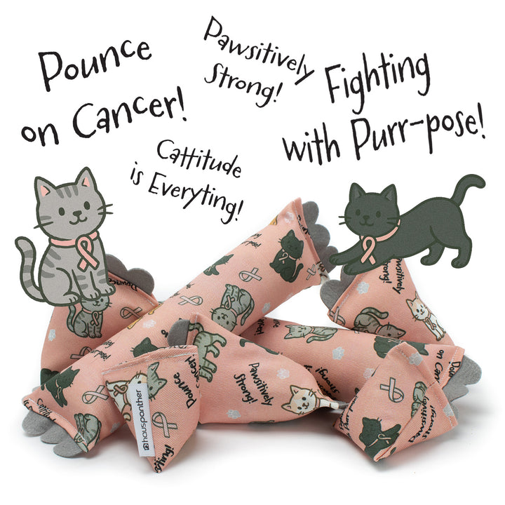 Breast Cancer Words of Encouragement Catnip Cat Toys