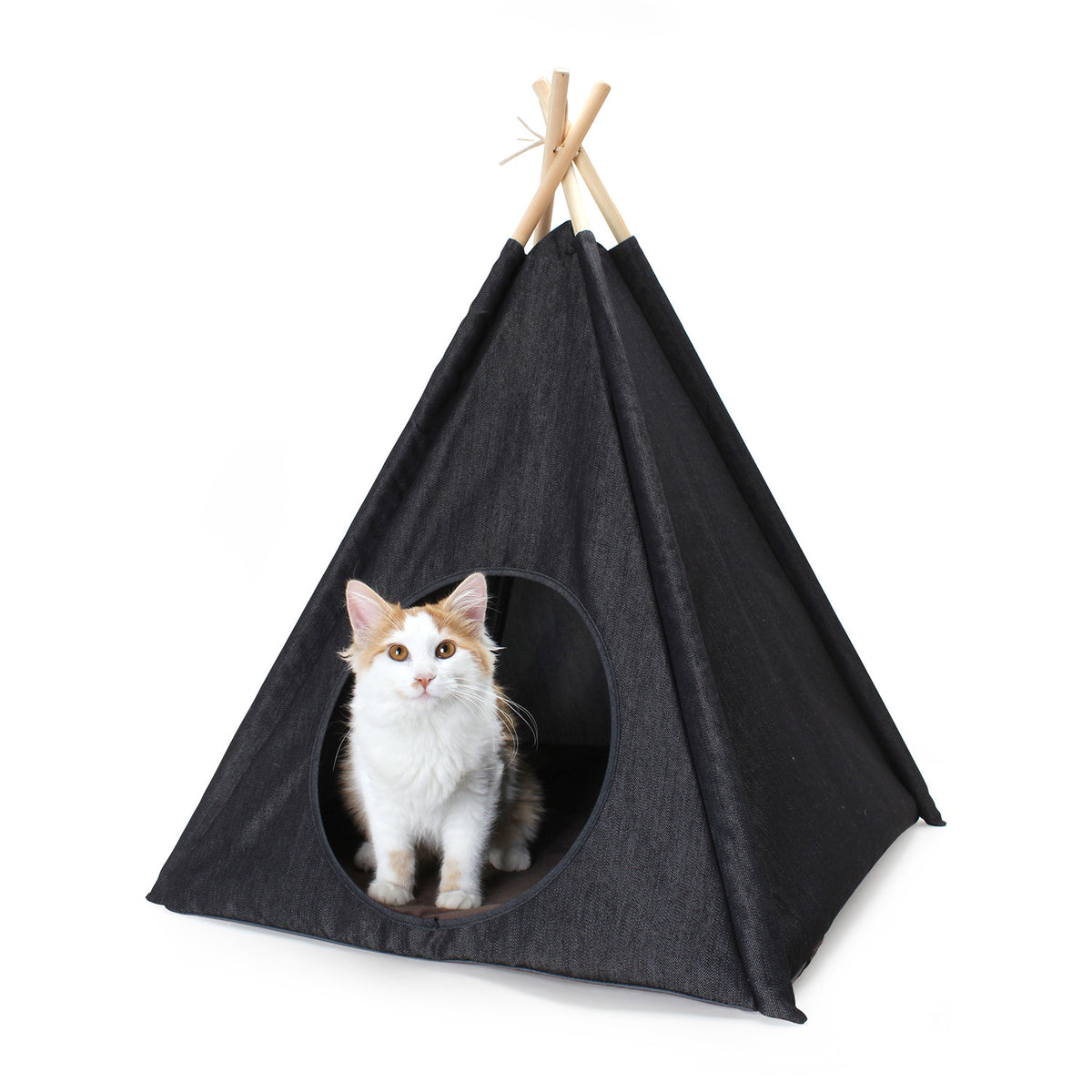 Cozy Cove Cat Tent from Pet Play