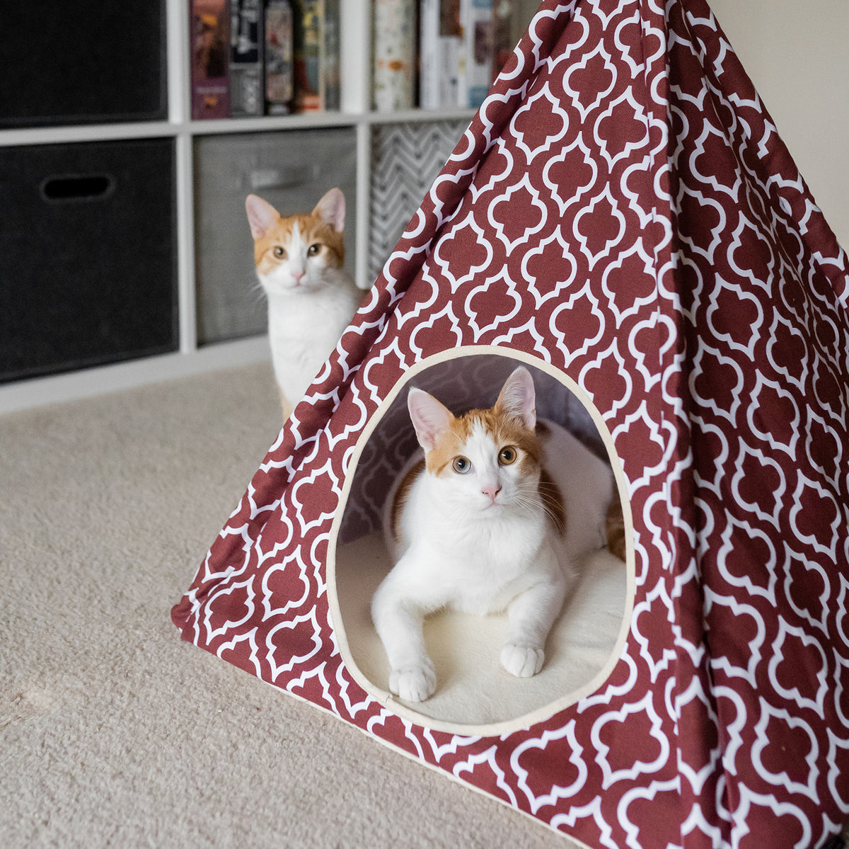 Cozy Cove Cat Tent from Pet Play