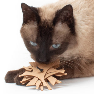 Eco Splats - Eco-friendly Cardboard Cat Toys (Set of 2 Toys)