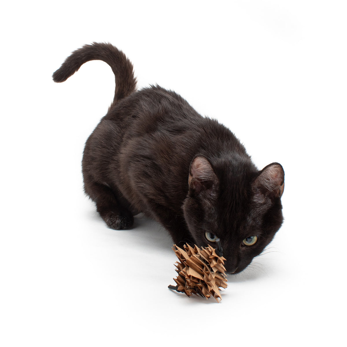 Magic Star Cardboard Cat Toys (Set of 2 Toys)