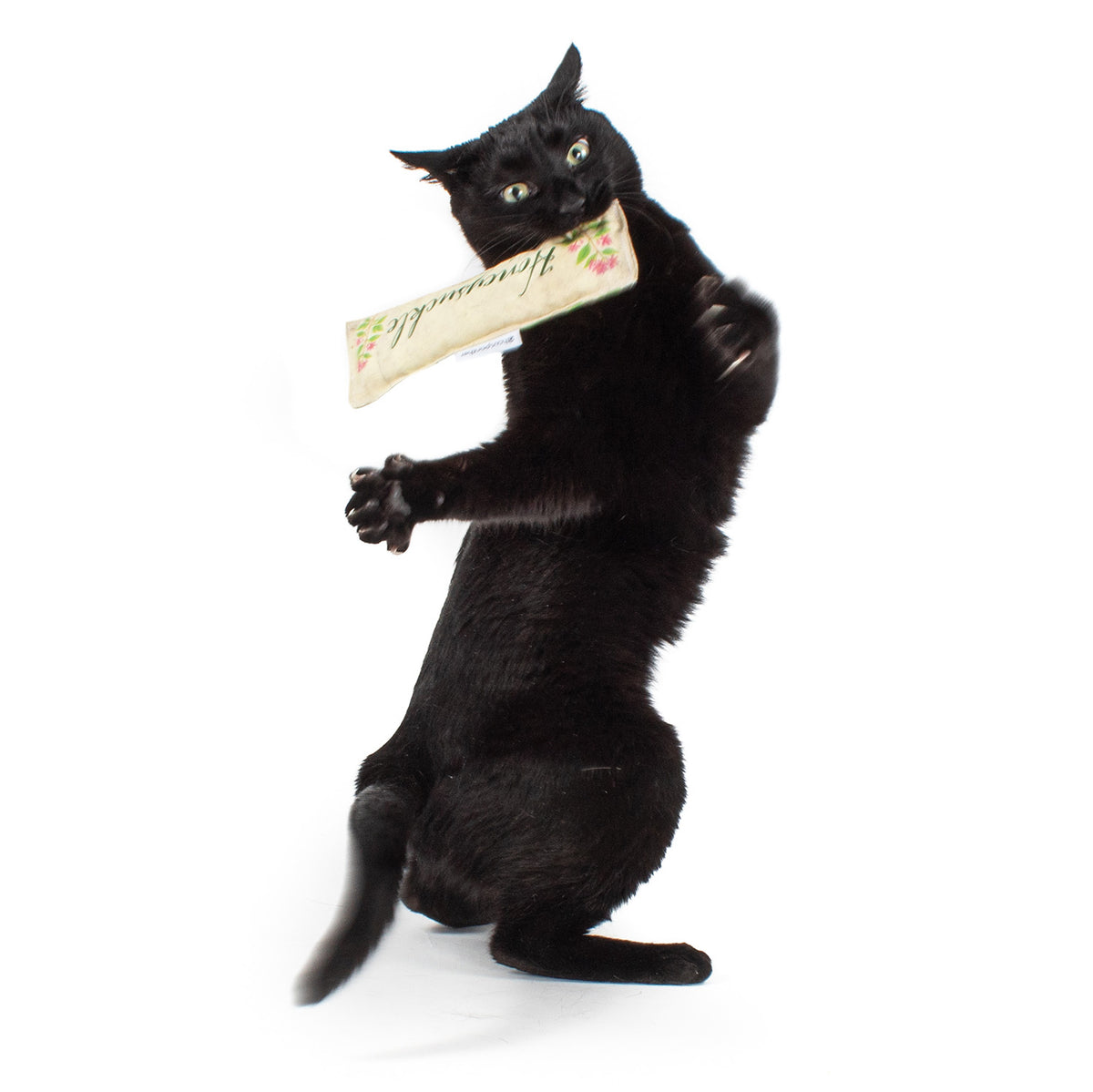 Scent Enrichment Cat Toy Set (set of 4 toys)