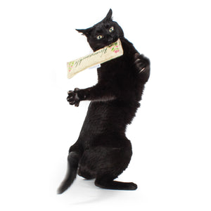 Scent Enrichment Cat Toy Set (set of 4 toys)